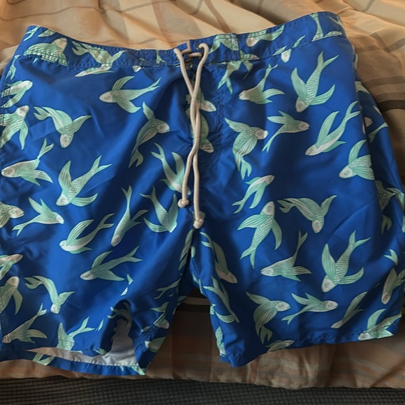 String Boalt Palm Beach men’s size 36 swim trunks.  Purchased on vacation. - Picture 2 of 4